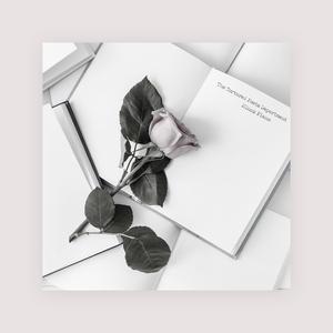 白丝校🌸脱白丝让我c视频
